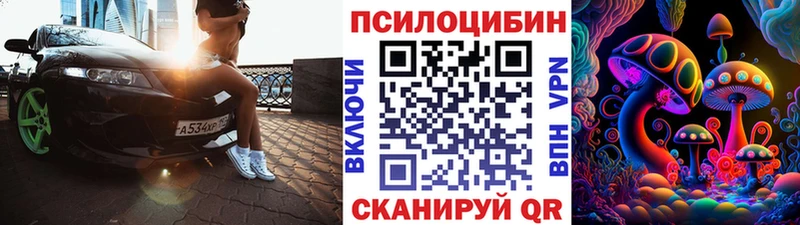 Псилоцибиновые грибы GOLDEN TEACHER  продажа наркотиков  Гусиноозёрск 